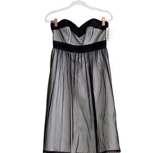 White House Black Market Strapless Black and Cream Dress